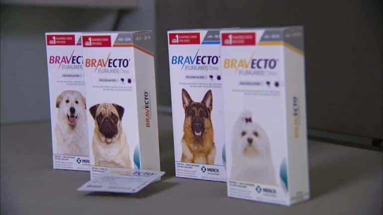 How Long Do Bravecto Side Effects Last: Your Pet’s Tick Solution!