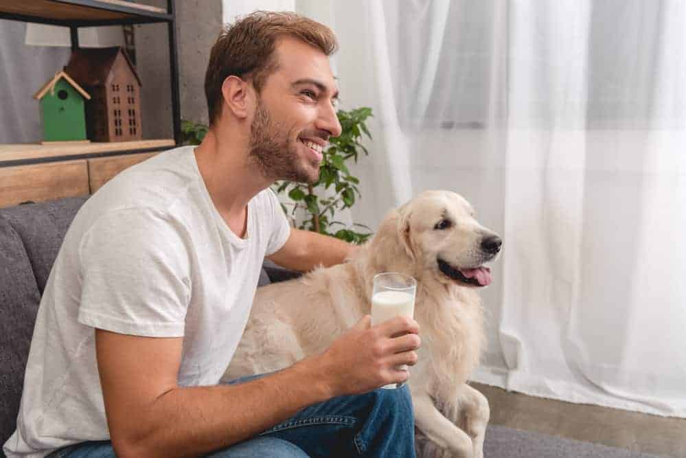Handsome young man with glass of milk and adorable golden retriever dog sitting on couch and looking away