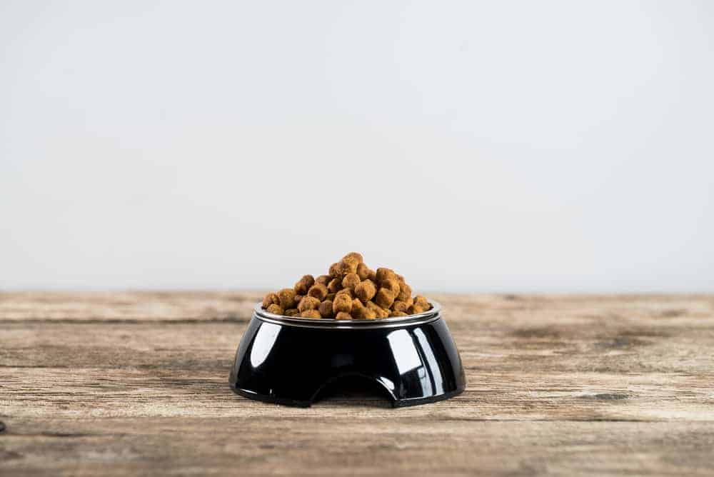 Pile of dry dog food in bowl on wooden floor