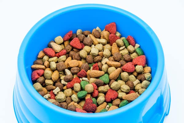 Dry dog food in a blue bowl