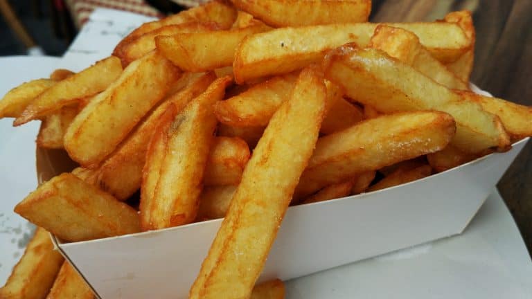 Can Dogs Eat French Fries? Here are (FACTS) to consider