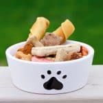 Dog food in dog bowl