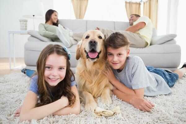 Siblings lying with dog while parents resting on sofa