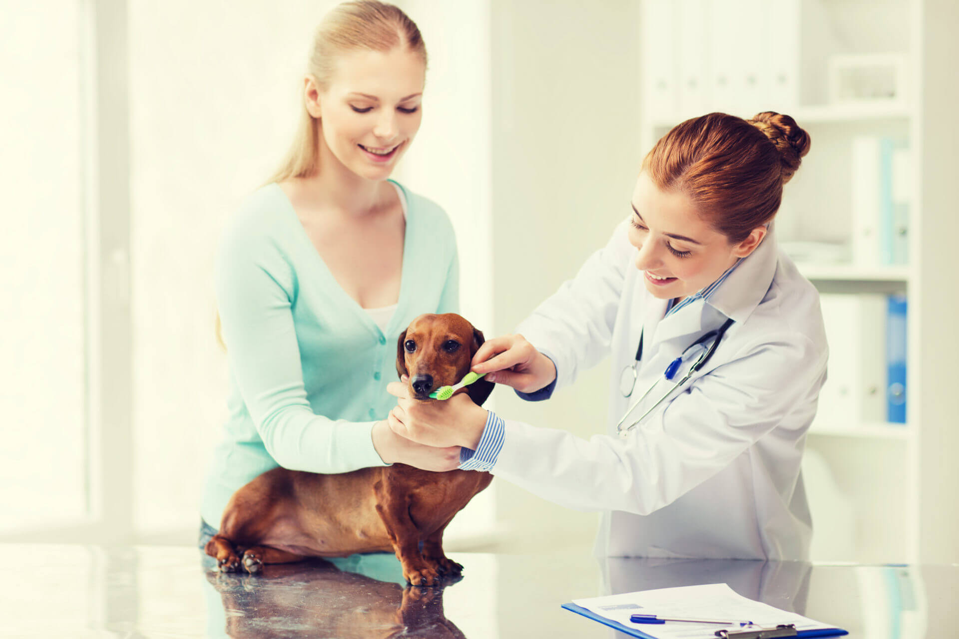 Happy woman with dog and doctor at vet clinic