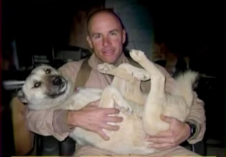 A Stray Dog Proves That 70 Miles Is Nothing To His Bond With A US Marine